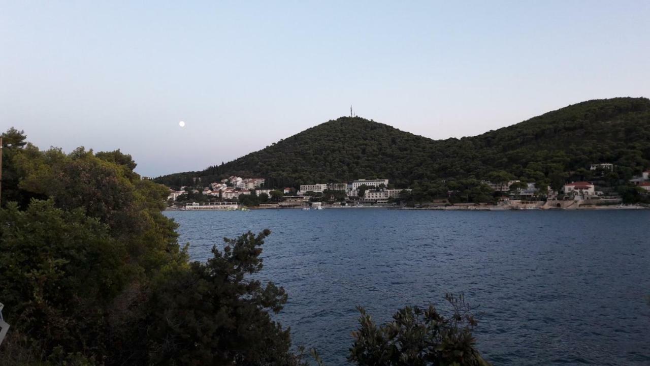Guest house Ana